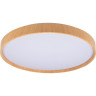 Светильник JAZZWAY PPB PINE 60w 4000K IP20 D485x75 5052666