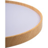 Светильник JAZZWAY PPB PINE 72w DIM 3000-6500K IP20 D485x75 5052680